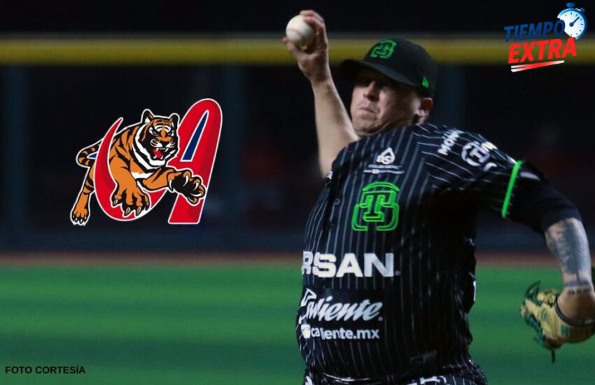 Tigres de Aragua anuncian a Nick Struck como refuerzo para la LVBP