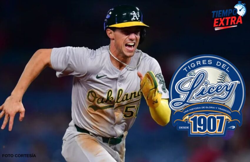 Tigres del Licey anuncian la contratación de Armando Álvarez como refuerzo para Lidom RD